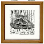 Raccoon Pen and Ink Tile/Coaster Box by NANCE